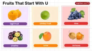 Fruits that start with U, tropical and exotic