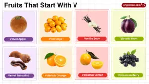 Fruits that start with V including tropical, citrus, berry