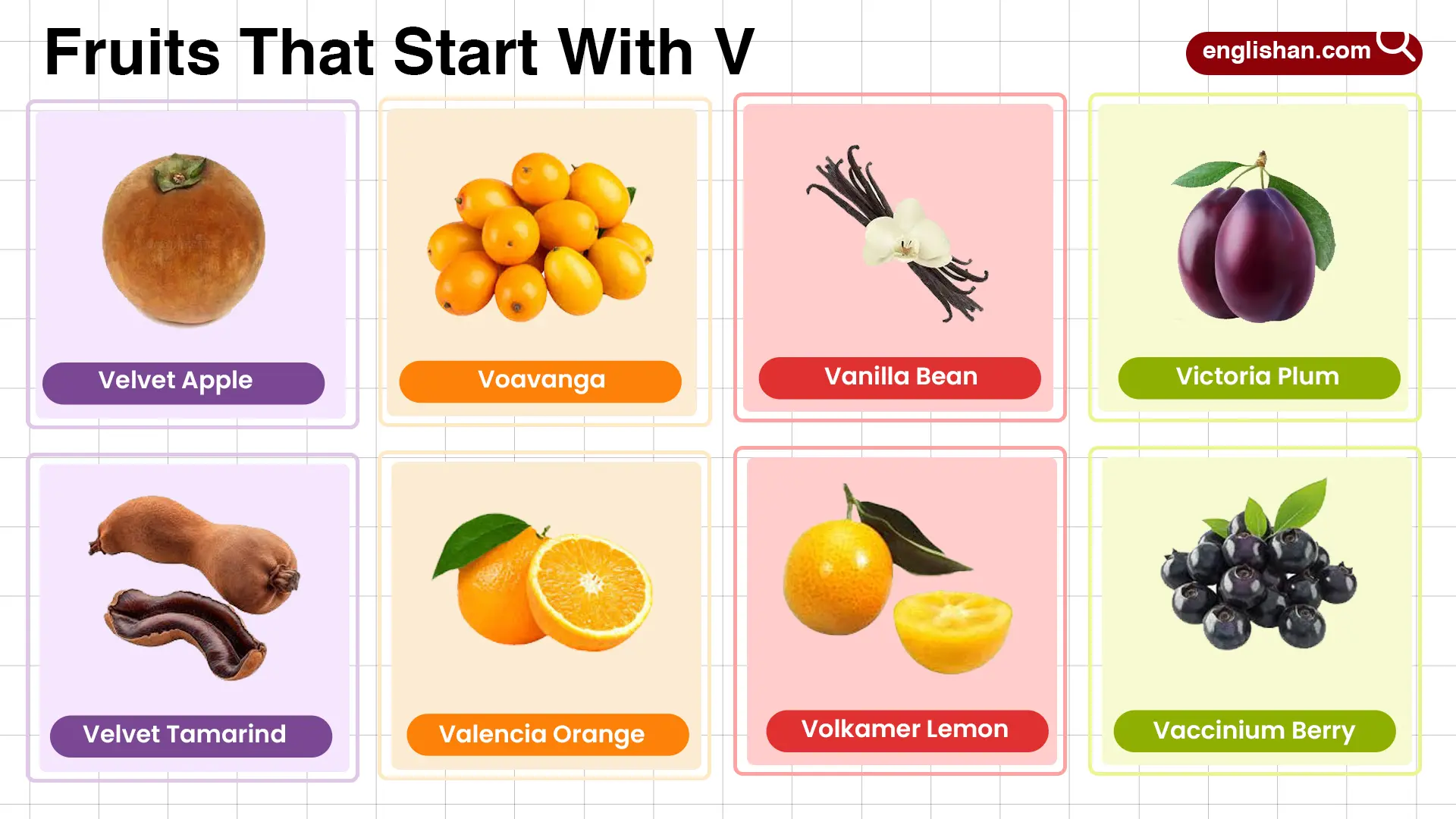 Fruits that start with V including tropical, citrus, berry