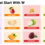 Fruits that start with W including tropical, citrus, rare, and berries