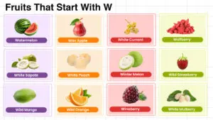 Fruits that start with W including tropical, citrus, rare, and berries