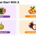 Fruits that start with X including tropical, rare, and citrus types