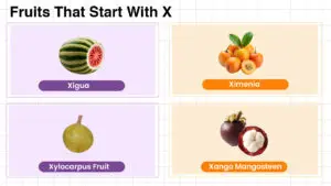Fruits that start with X including tropical, rare, and citrus types