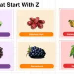 Fruits that start with Z including tropical, rare, and citrus