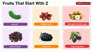 Fruits that start with Z including tropical, rare, and citrus