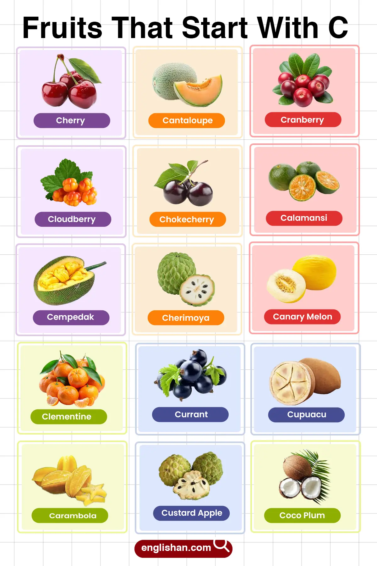 List of fruits that start with C tropical, wild