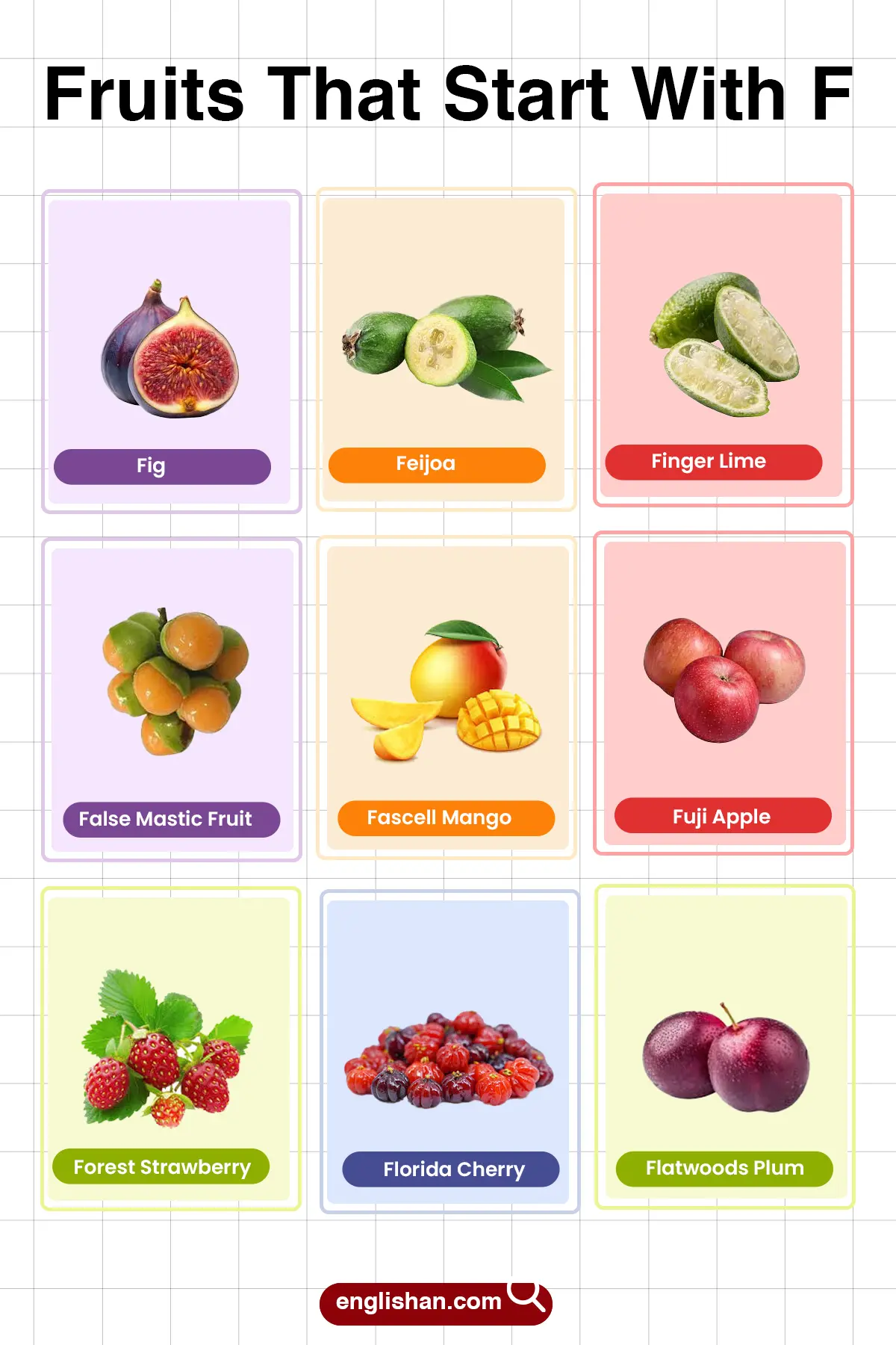 List of Fruits That Start With F for vocabulary
