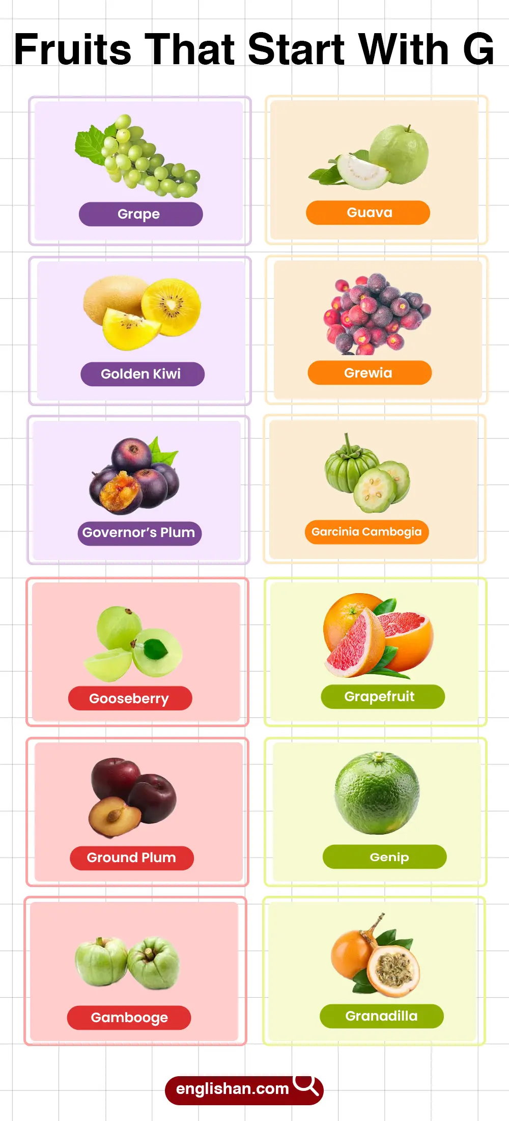 List of Fruits That Start With G for vocabulary