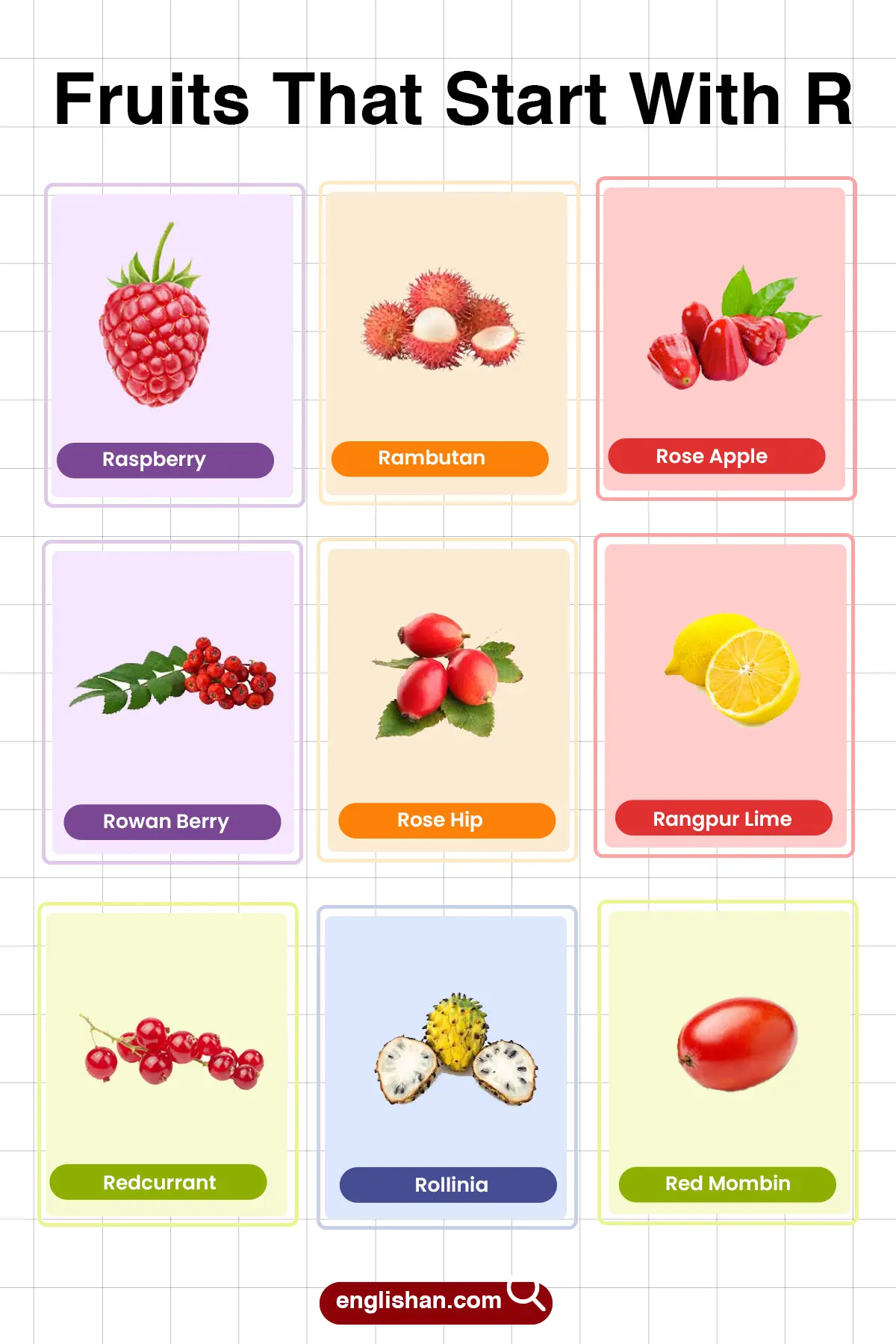 List of fruits that start with R with tropical and rare types