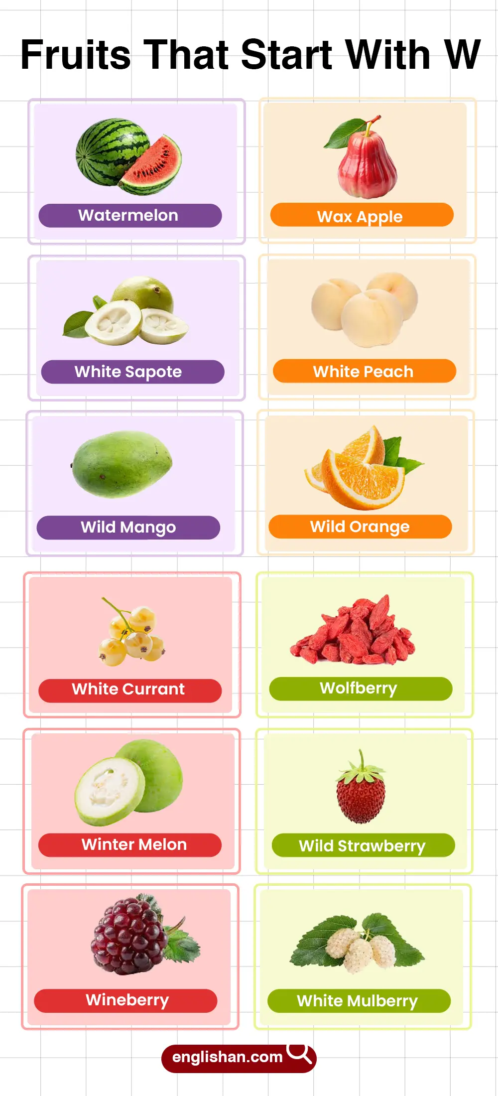 List of fruits that start with W showing common, seasonal, and medicinal types