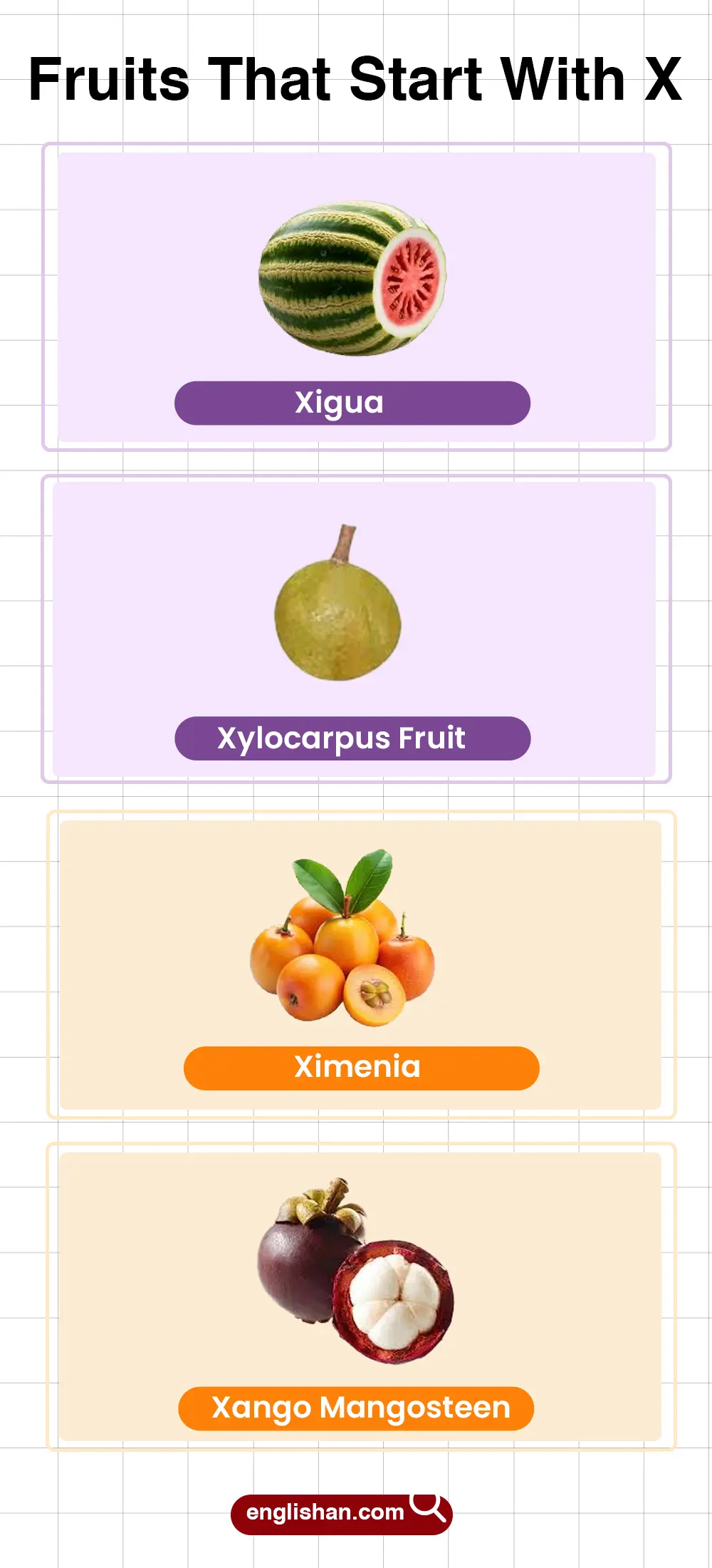Fruits that start with X including seasonal and colorful types