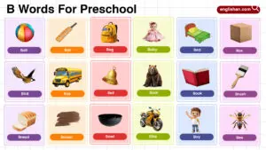 List of Preschool Words That Start With Letter B