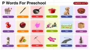 List of Preschool Words That Start With Letter P