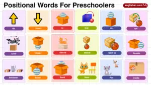 Positional words for preschoolers including directions, height, motion