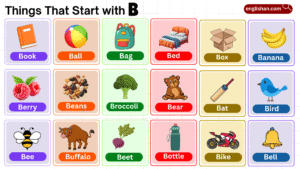 Things that start with B including animals, foods, toys, and objects
