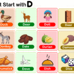 464 Things That Start with D: Complete D Items List