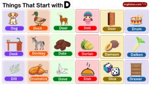 464 Things That Start with D: Complete D Items List