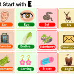 things that start with E including foods, animals, and objects