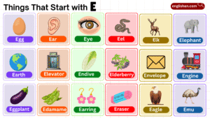 things that start with E including foods, animals, and objects