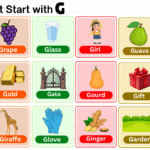 List of things that start with G with foods, animals, and objects