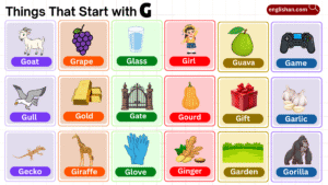 List of things that start with G with foods, animals, and objects