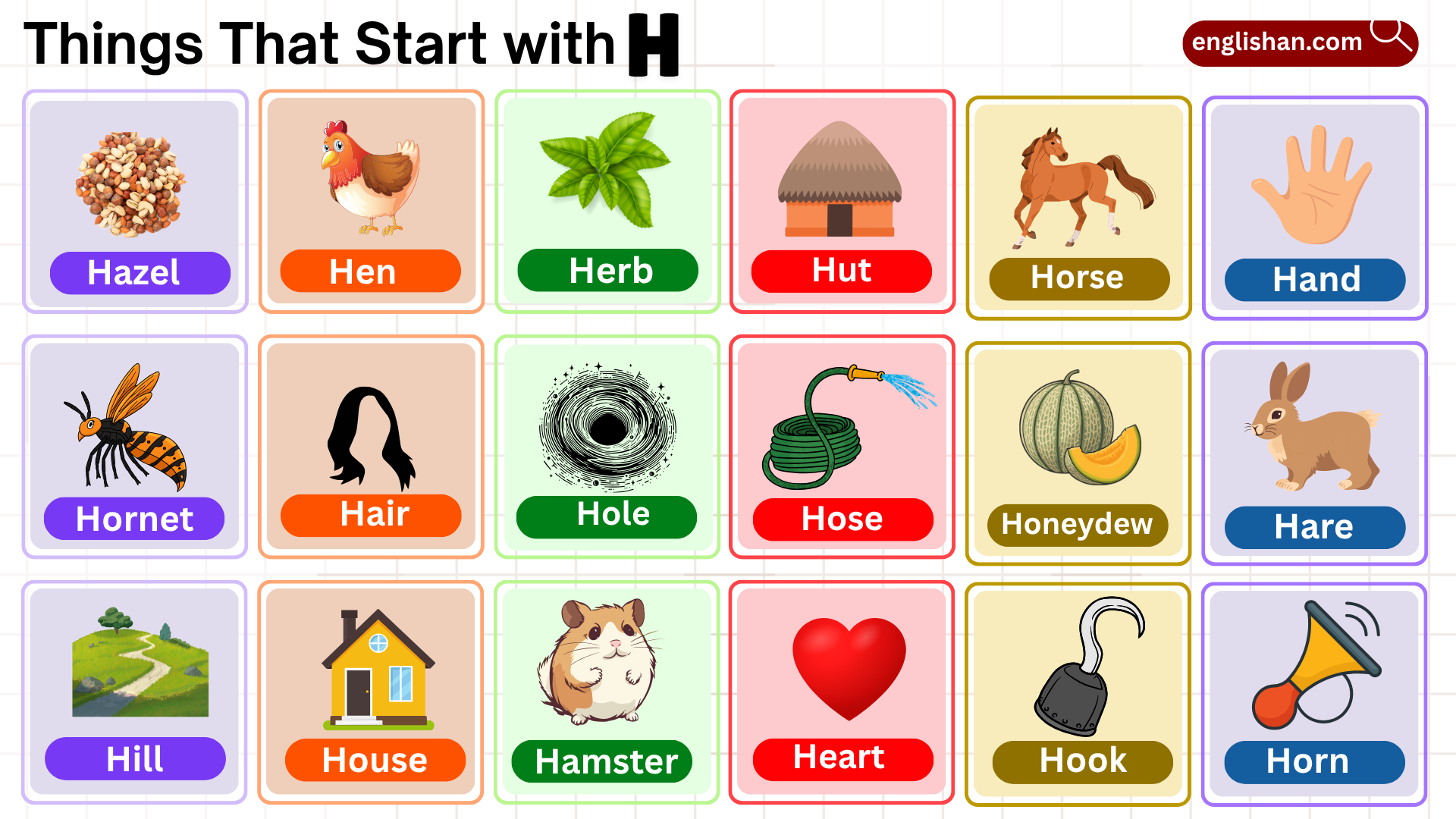 Things that start with H list with foods, animals, and household items