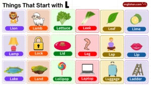Things that start with L list including foods, animals, and objects