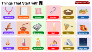 list of things that start with N such as foods, animals, and objects