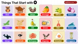things that start with o including foods, animals, and objects list