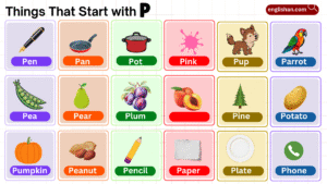 things that start with p list including animals, foods, and objects