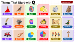 Things That Start with Q Words List in English
