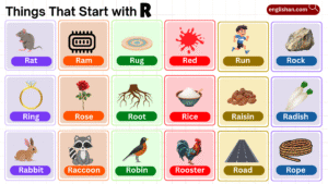 : List of things that start with R such as animals, foods, and objects