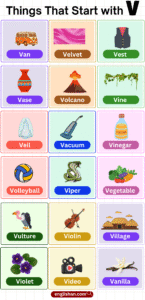 List of things that start with V including foods and animals
