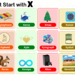 Things that start with X including foods, animals, objects, and brands