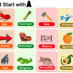 Things that Start with A: Complete List of 550 Words