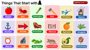 Things that Start with A: Complete List of 550 Words