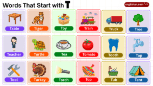 List of Words That Start with T for Animals and Objects