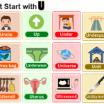 words that start with U in English with animals and foods