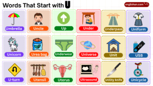 words that start with U in English with animals and foods