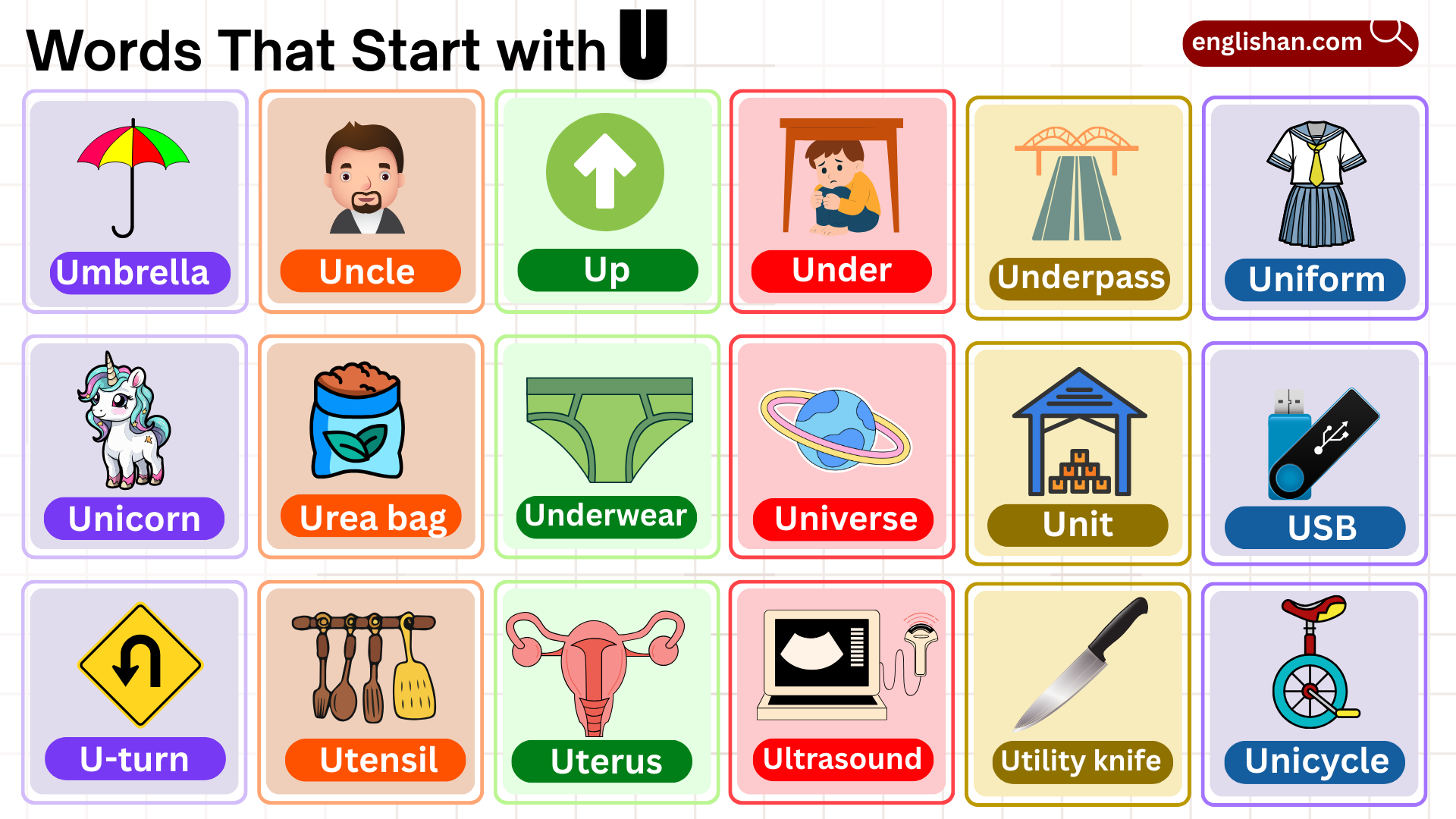 words that start with U in English with animals and foods