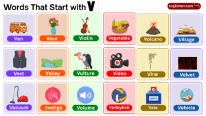 list of words that start with V for animals and objects