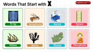 words that start with X in English with foods and animals