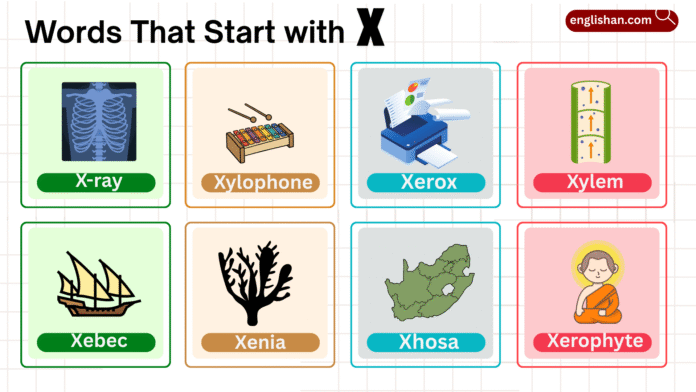 300 Words That Start with X | Lists Covering X Words Broadly