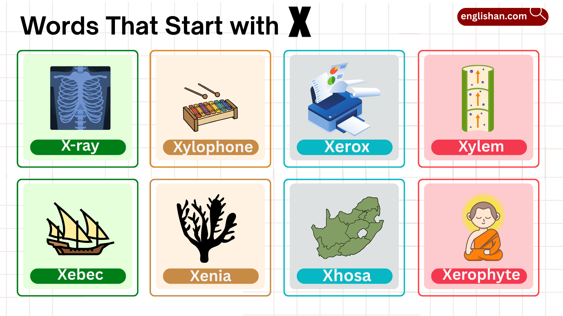 words that start with X in English with foods and animals