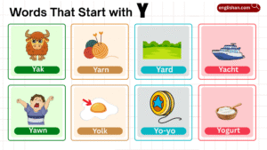 words that start with Y in English with foods and animals