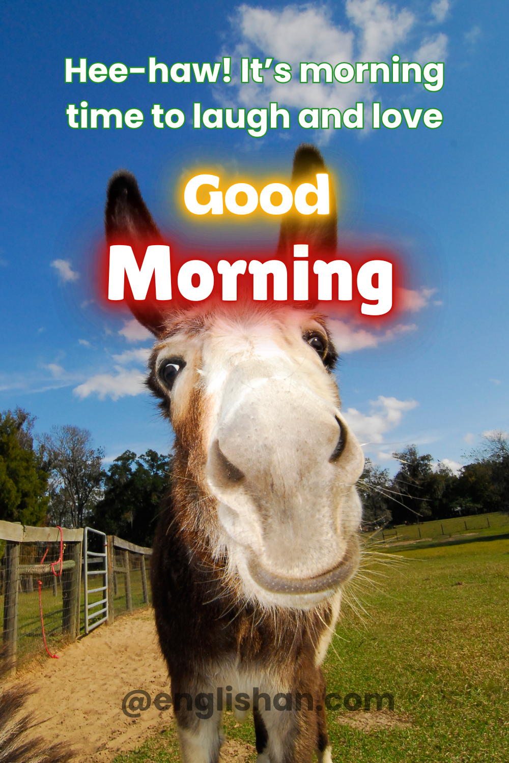 Short Funny Morning Captions for Instagram