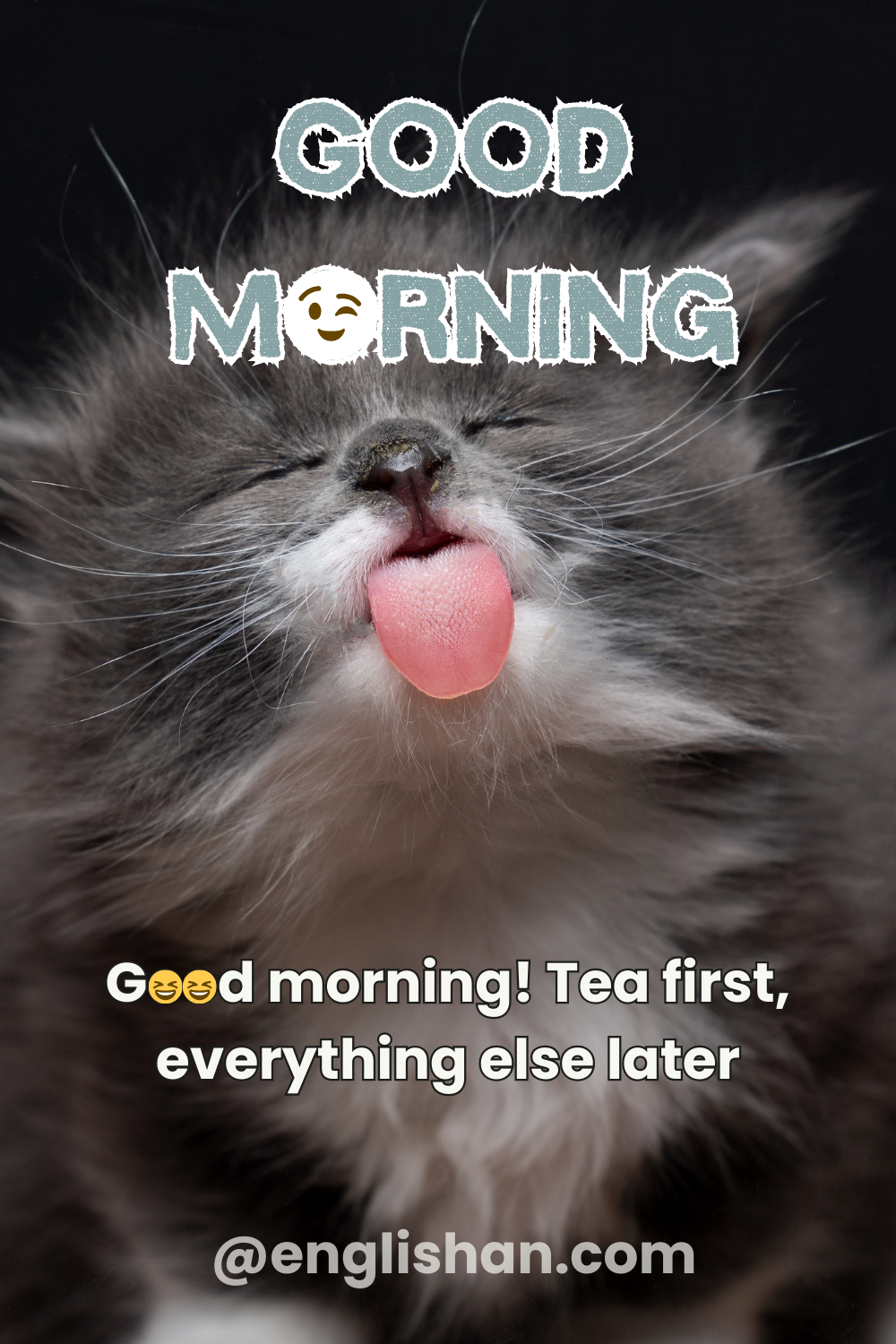 Multi-Platform Funny Good Morning Wishes