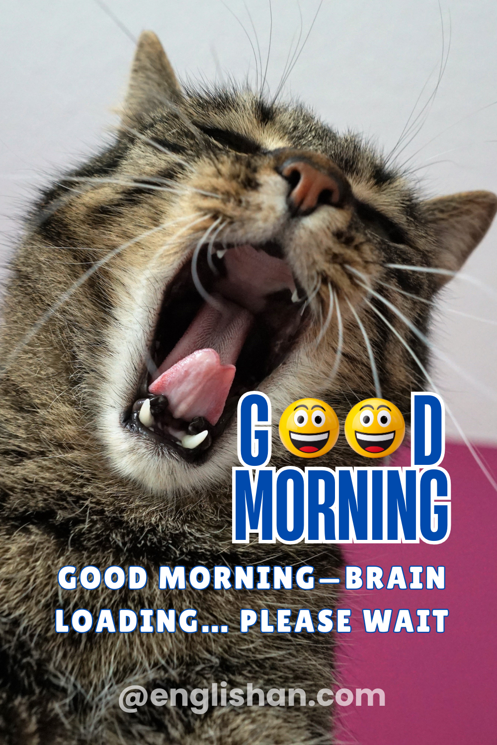 Playful Funny Quotes for Good Morning