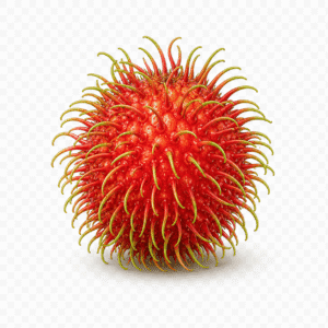 Rambutan