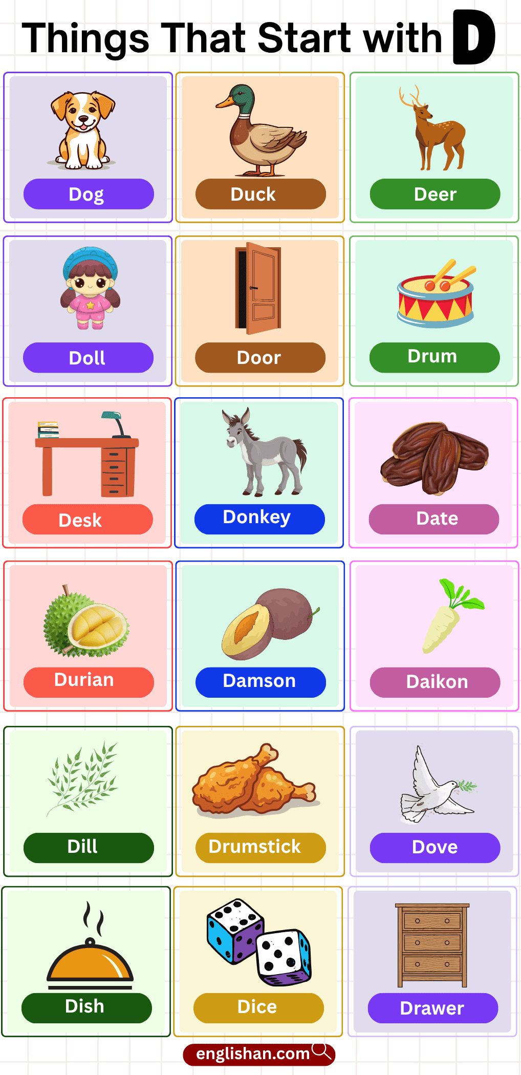 Things that start with D including foods, animals, and objects for learning English